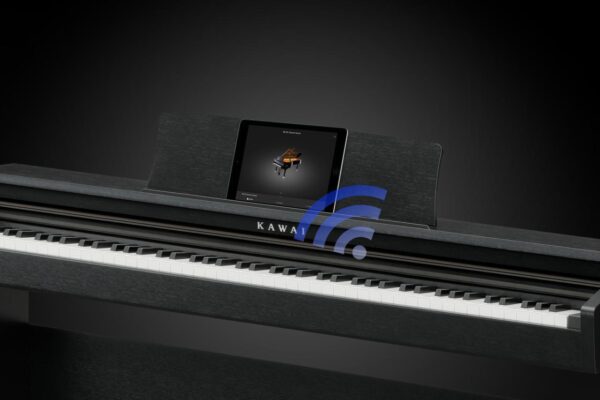 KAWAI KDP-120 B-2