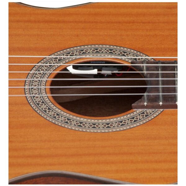 AMANO 3S-CE-SN Massive Sapellidecke mit Sapellikorpus - Made in Spain  -3