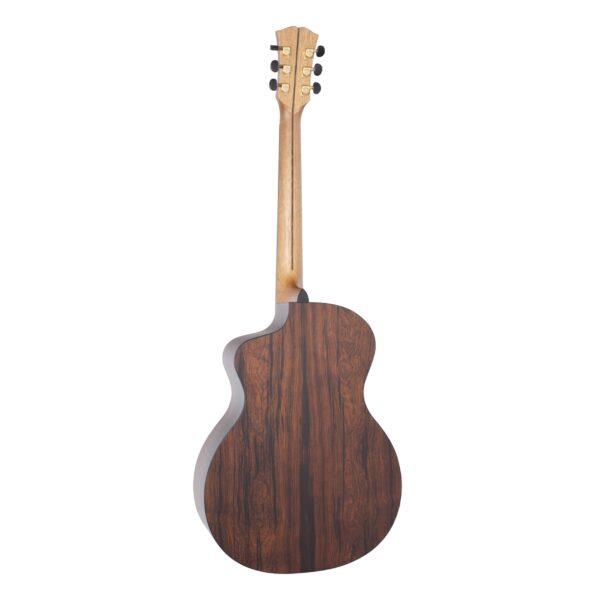 DOWINA Master Madagascar GACE-DS Limited Select Anthem-6