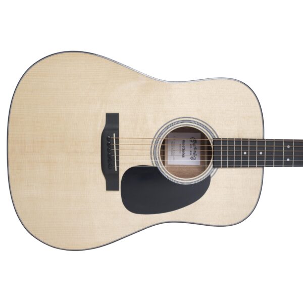 MARTIN GUITARS D-12-01-2