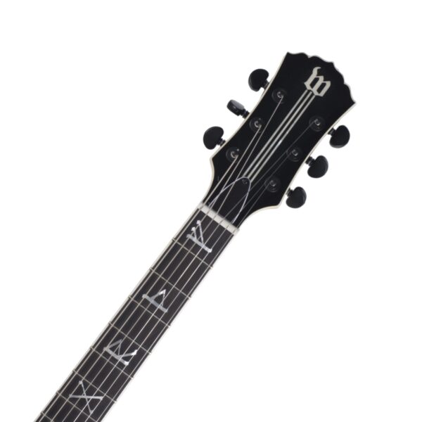SCHECTER Wylde Audio