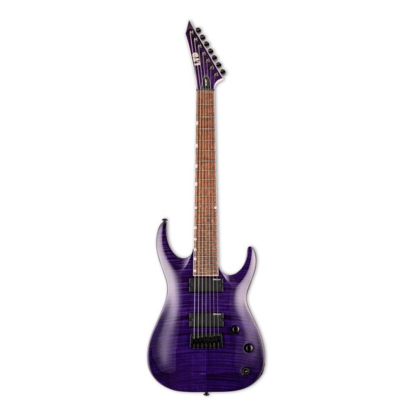 ESP LTD SH-207 STP BRIAN WELCH-1