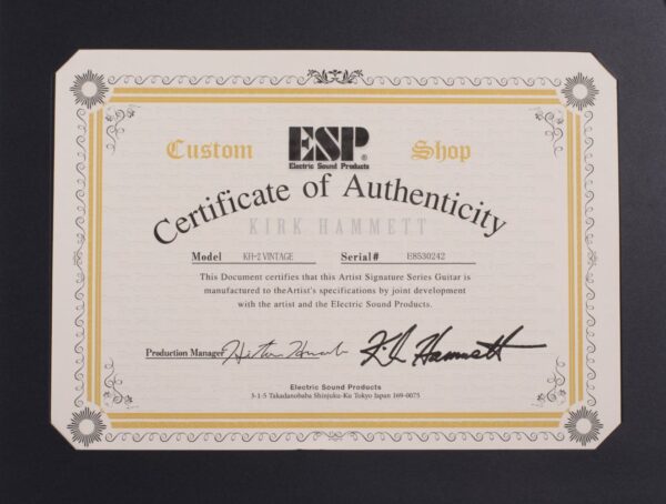 ESP KH-2 VINTAGE DISTRESSED BLACK KIRK HAMMETT-10