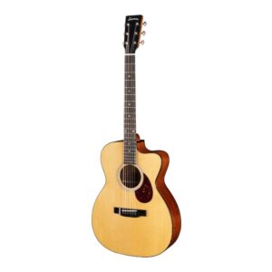 EASTMAN E1OMCE Deluxe Orchestra Model