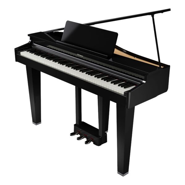 ROLAND GP-3 PE Digitalflügel-1
