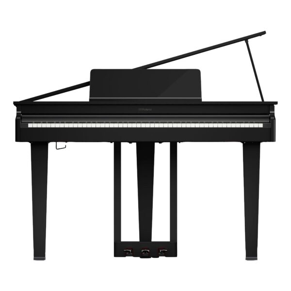 ROLAND GP-3 PE Digitalflügel-2