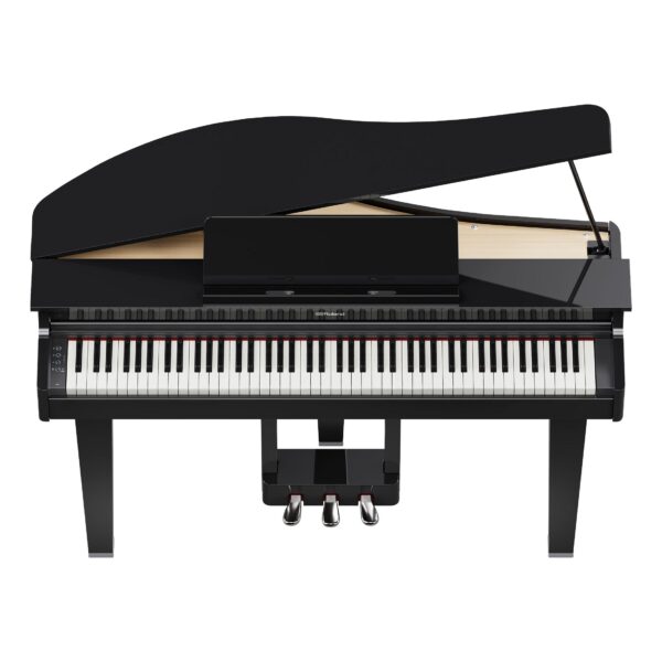 ROLAND GP-3 PE Digitalflügel-3