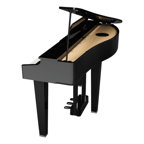 ROLAND GP-3 PE Digitalflügel-4