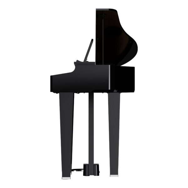 ROLAND GP-3 PE Digitalflügel-5