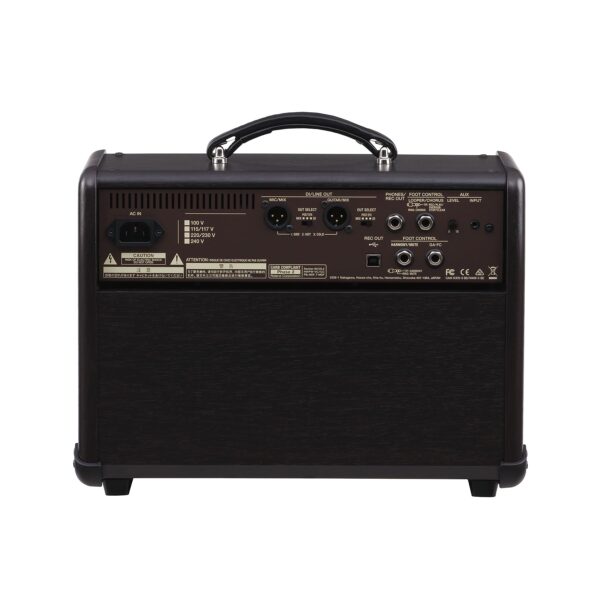 BOSS Acoustic Singer Live-2