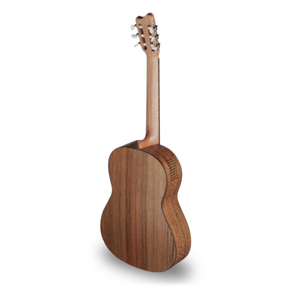 AMANO 7C OP Soundport Massive Zederndecke mit massivem Ovangkolkorpus-1