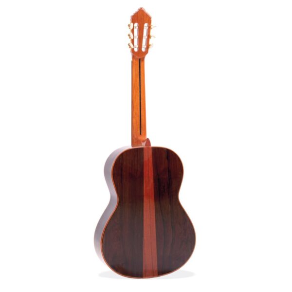 ALHAMBRA Premier Pro Madagascar-2