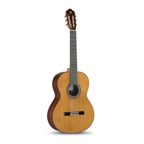 ALHAMBRA 5P inkl. Gig Bag-2