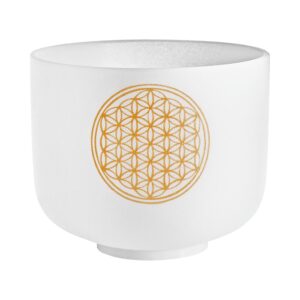MEINL Sonic Energy Crystal Singing Bowl Om-1