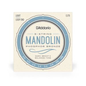 D ADDARIO EJ73 Mandoline LoopEnd Satz 010-038