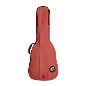 GIGBAG Konzert 4/4 RITTER Bern Flamingo Rose