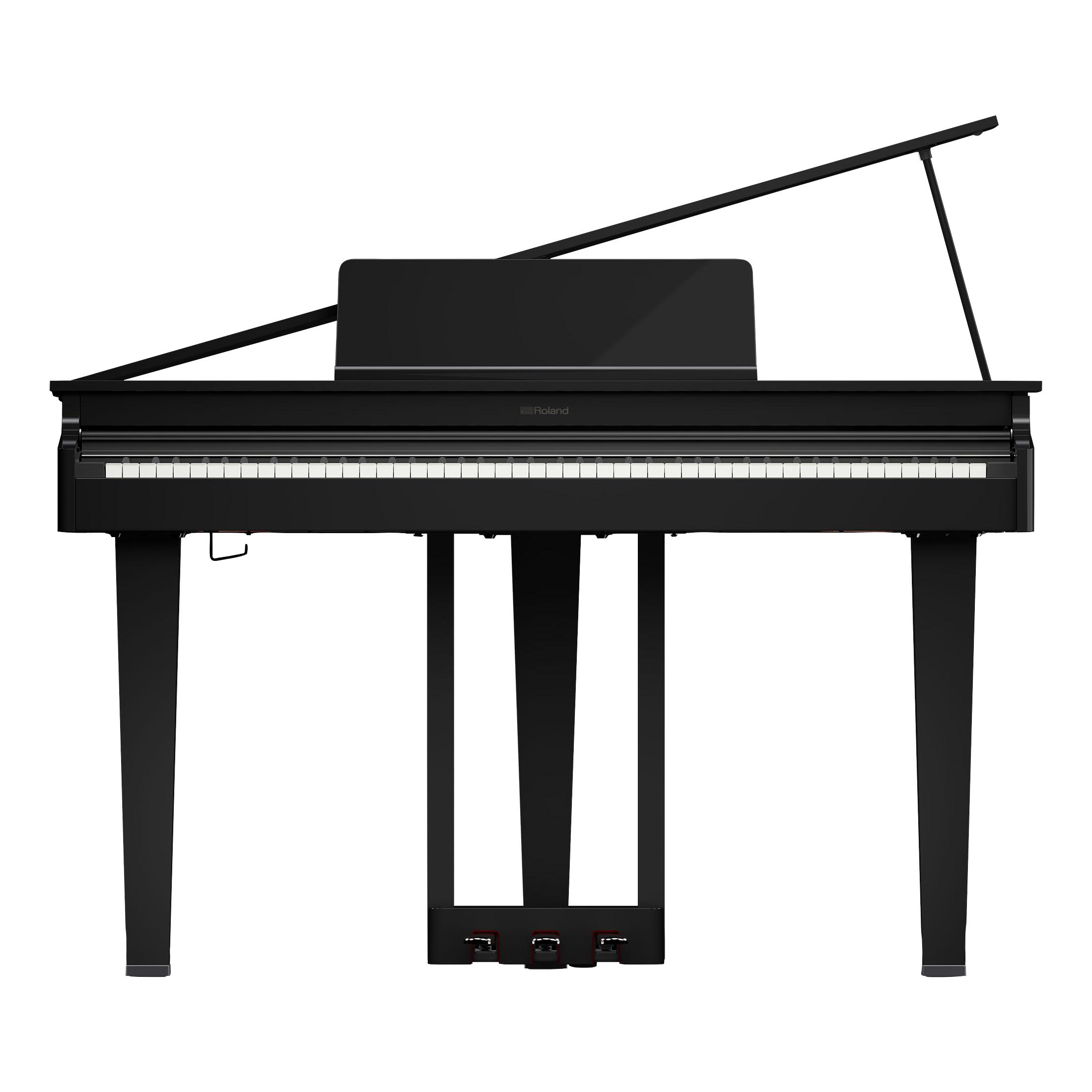 ROLAND GP-3 PE Digitalflügel-2