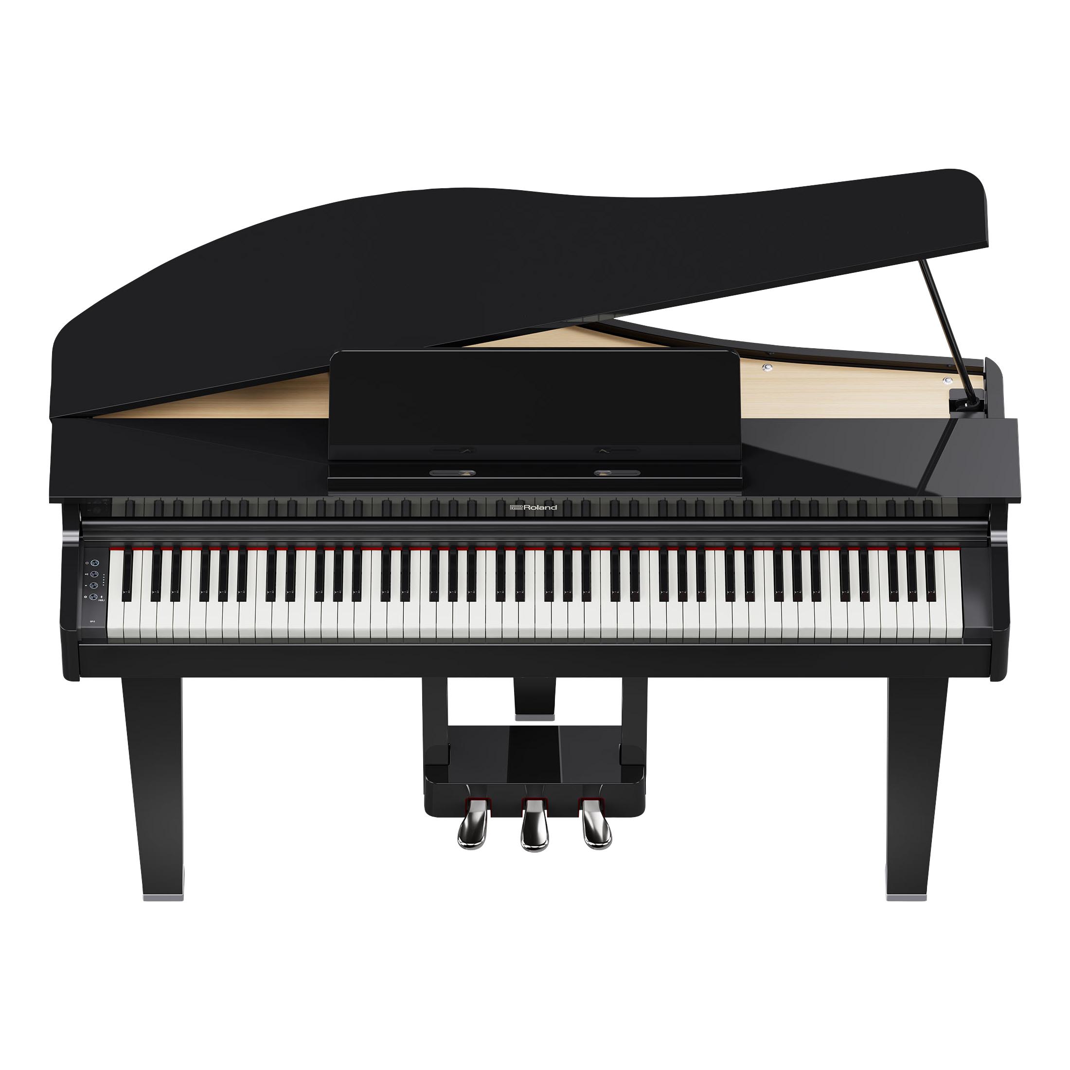 ROLAND GP-3 PE Digitalflügel-3