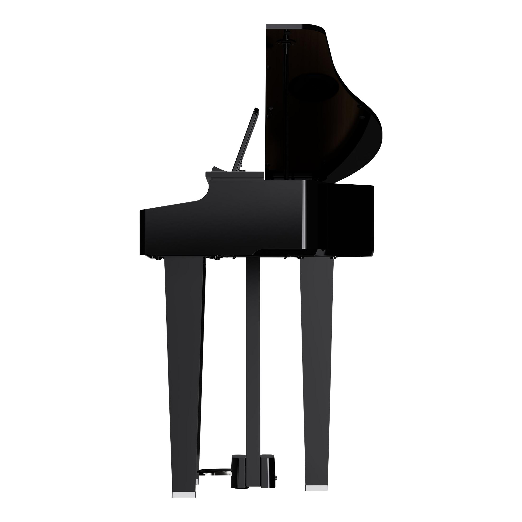 ROLAND GP-3 PE Digitalflügel-5