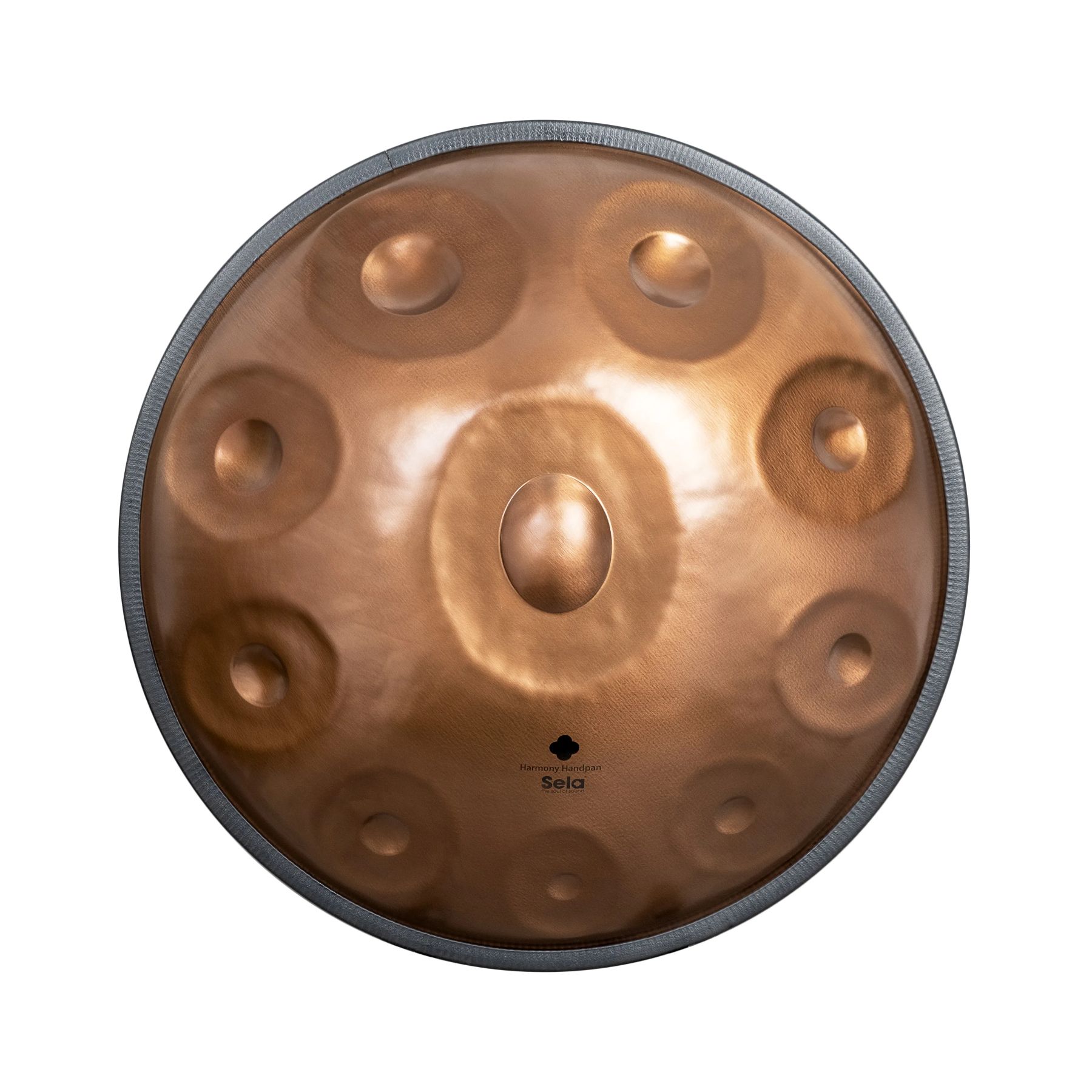 SELA SE321 Harmony Phoenix Steel D Amara 10 Handpan-1