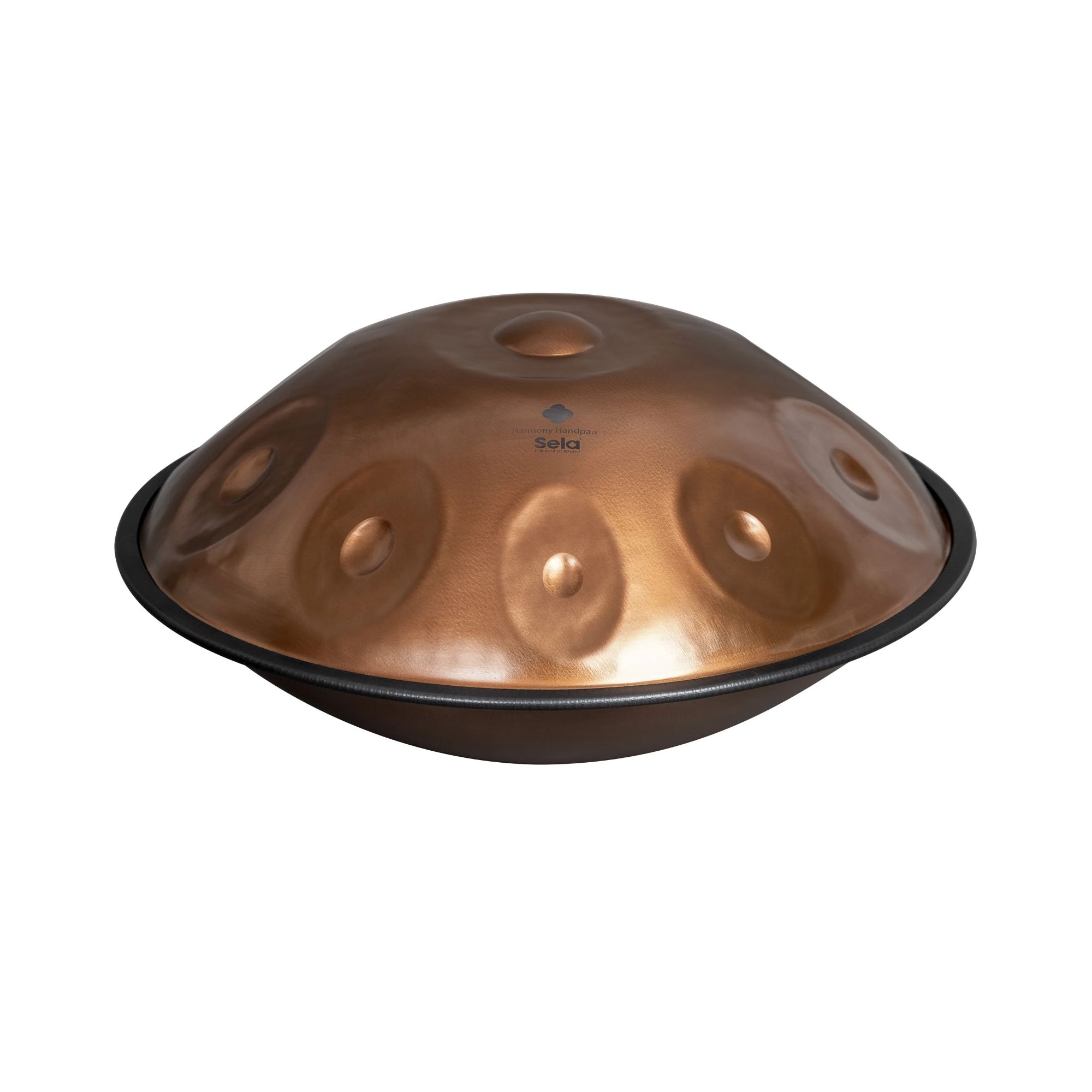 SELA SE321 Harmony Phoenix Steel D Amara 10 Handpan-2