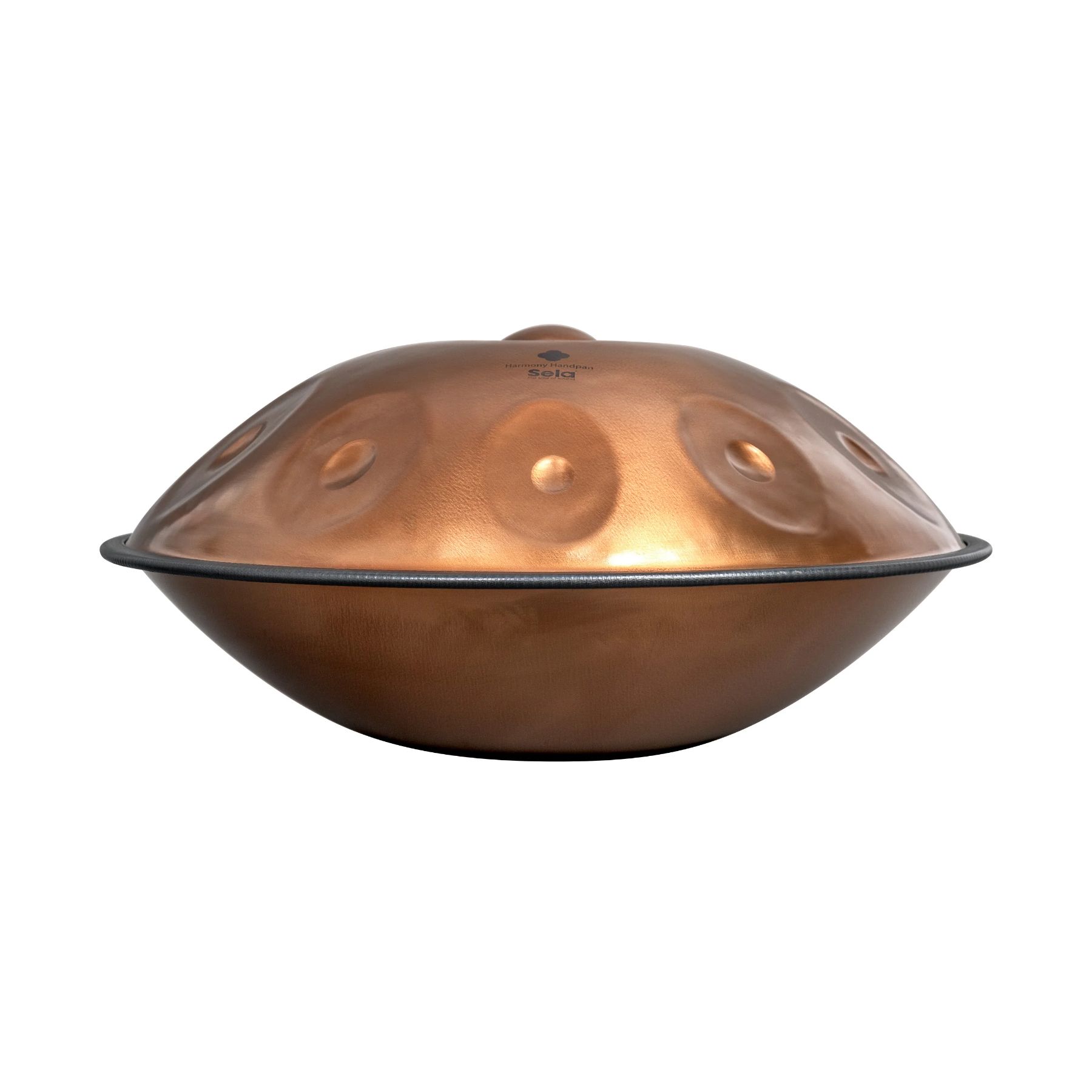 SELA SE321 Harmony Phoenix Steel D Amara 10 Handpan-3