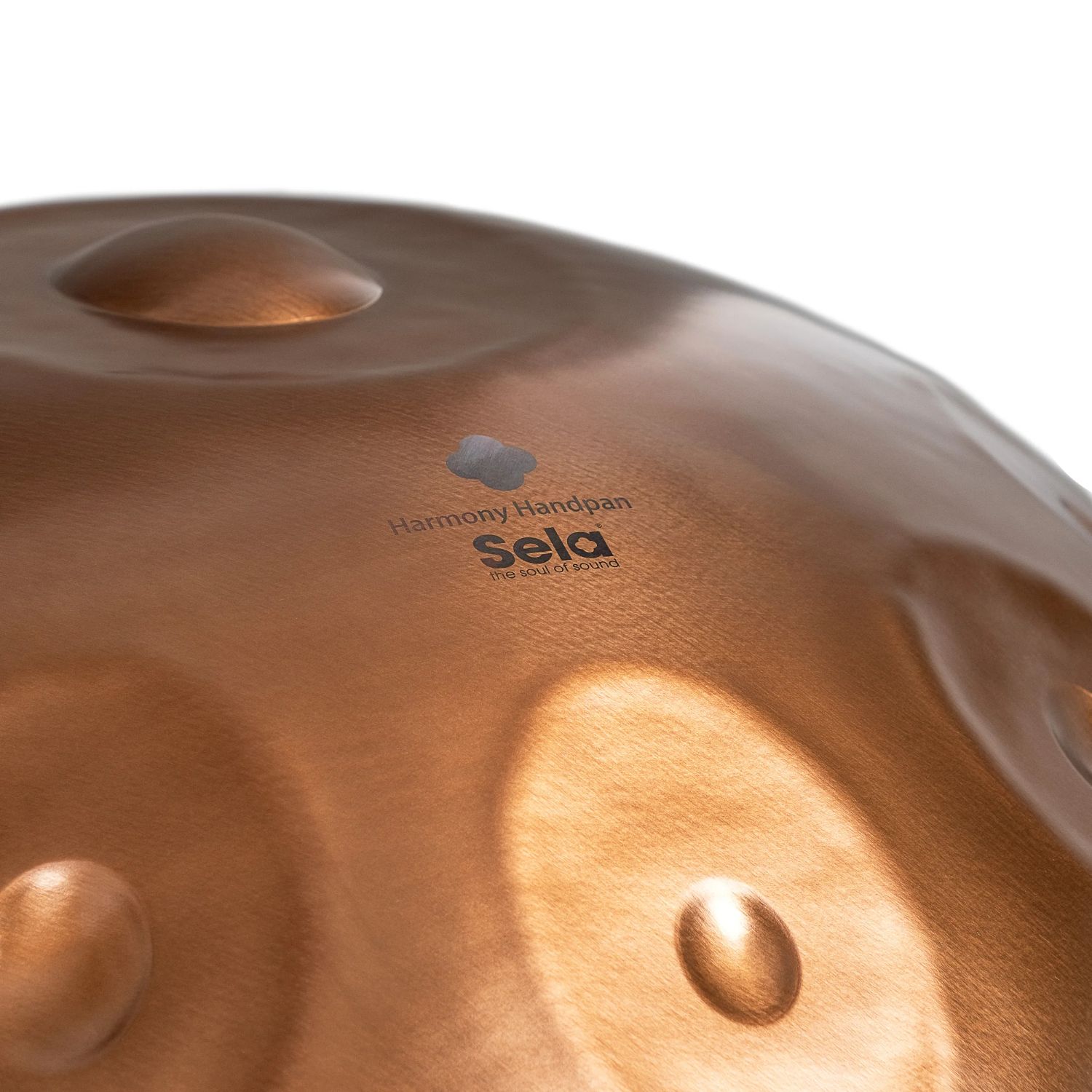 SELA SE321 Harmony Phoenix Steel D Amara 10 Handpan-5
