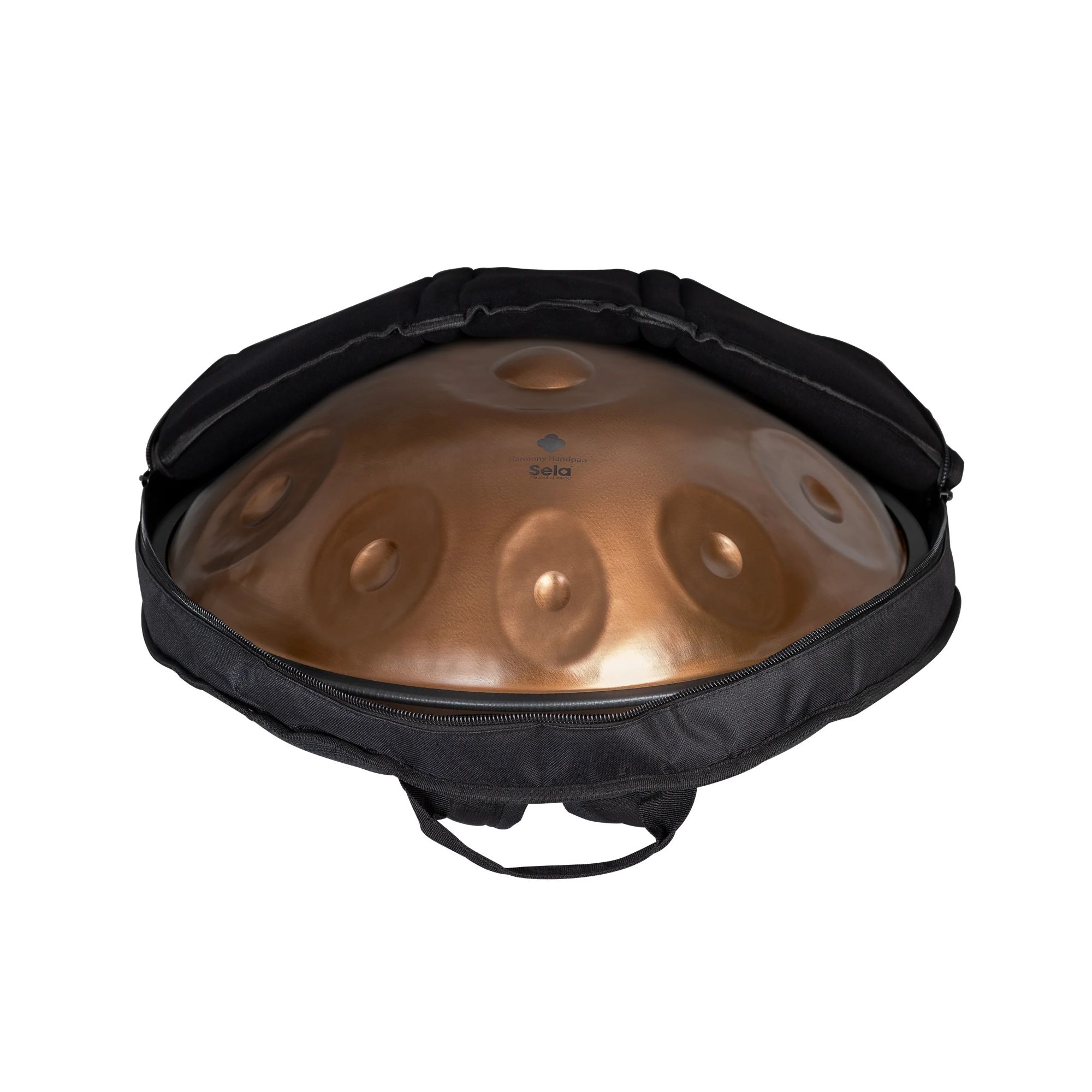 SELA SE321 Harmony Phoenix Steel D Amara 10 Handpan-6