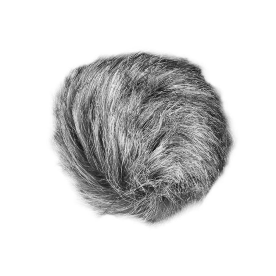 ZOOM WSH-4e for H4e/H6e-1