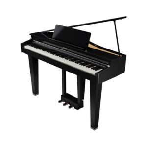 ROLAND GP-3 PE Digitalflügel