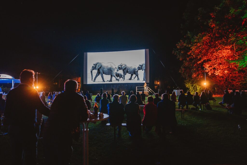Outdoor Kino