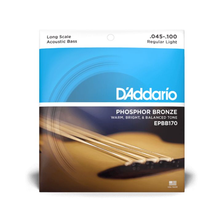 D ADDARIO EPBB170 Acoustic Bass 045-100-1