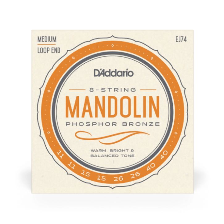 D ADDARIO EJ74 Mandoline LoopEnd Satz 011-040-1