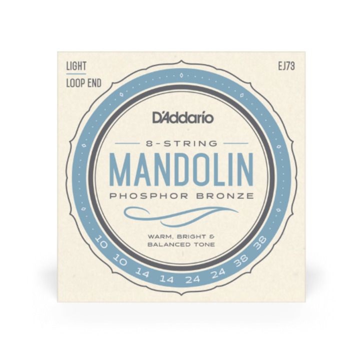 D ADDARIO EJ73 Mandoline LoopEnd Satz 010-038-1