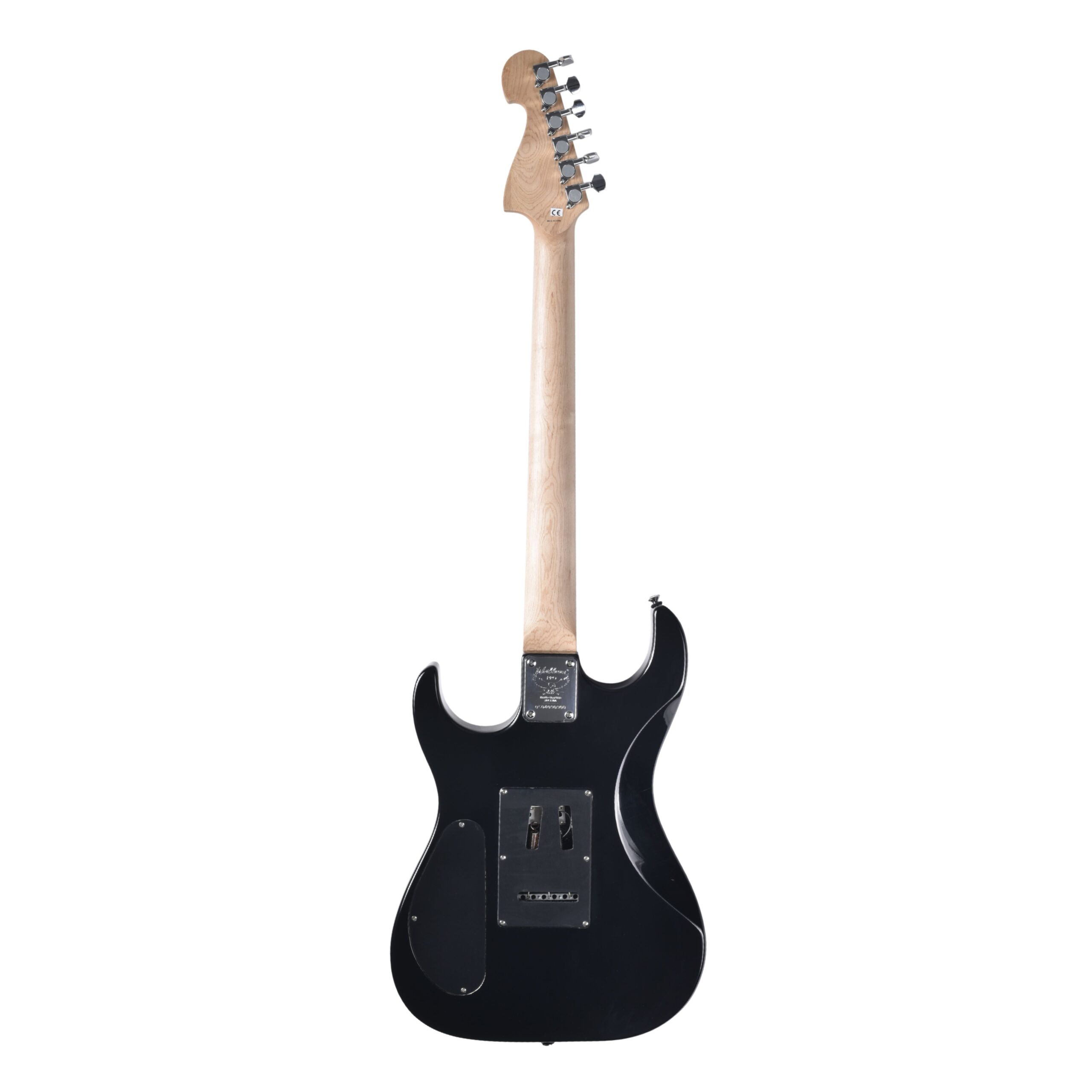 WASHBURN X10 B-2