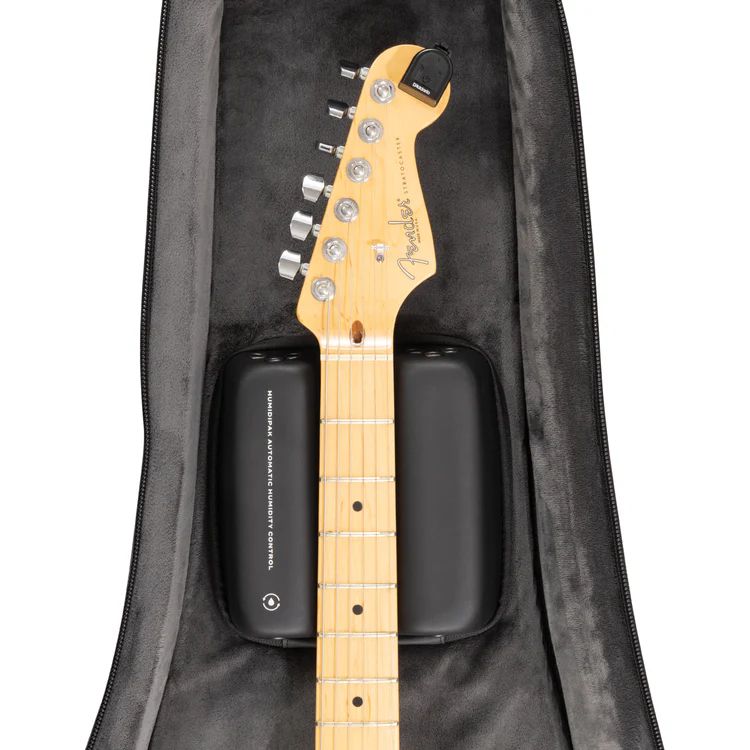 GIGBAG D'ADDARIO PW-BLEGC-01 E-Gitarre-7