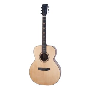 BSG Guitars GA 29 F