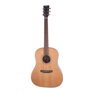 BSG Guitars DS 10 F