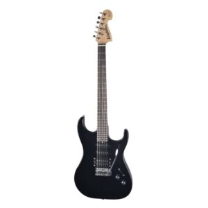 WASHBURN X10 B