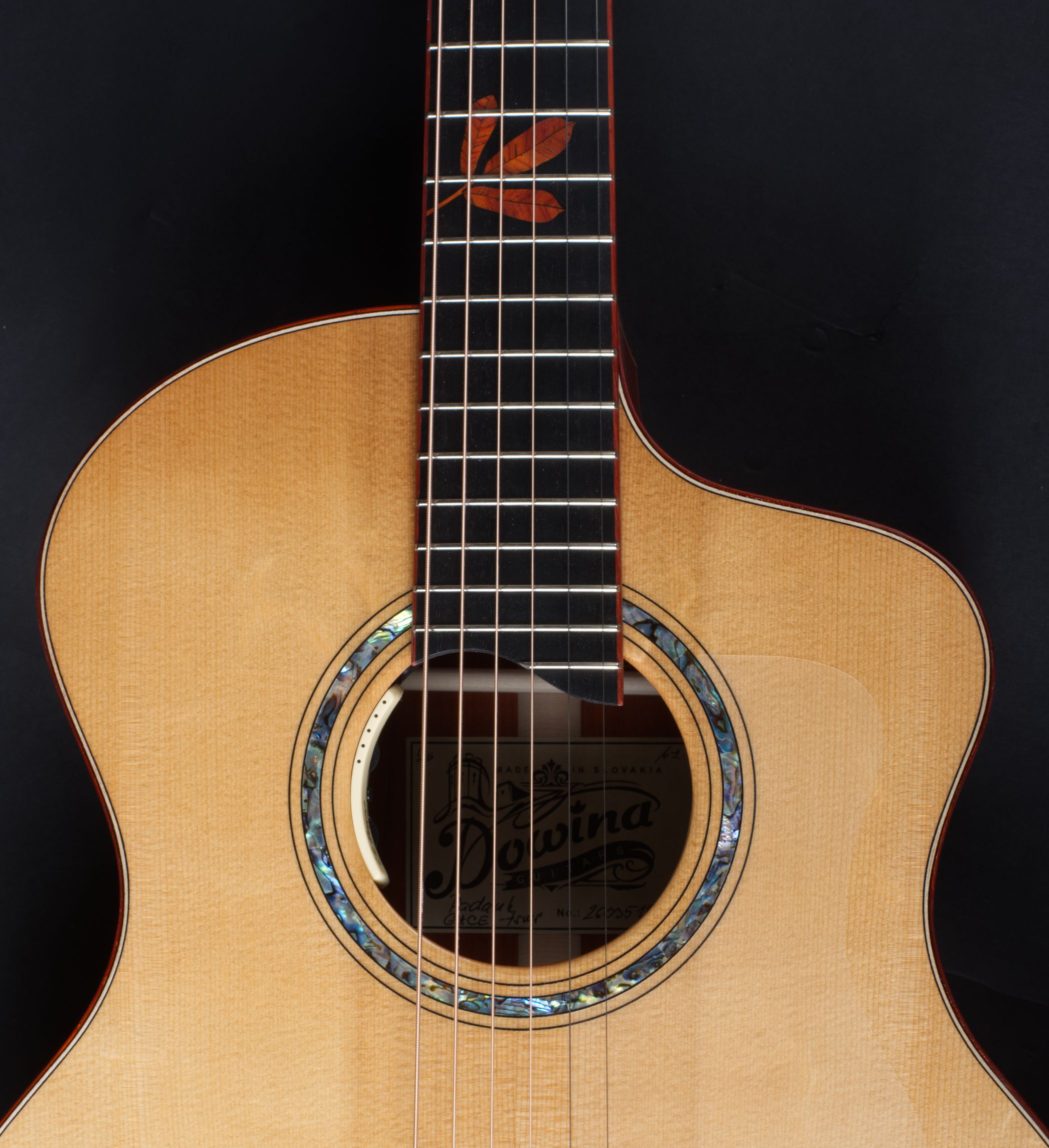DOWINA Master Padauk GACE-SWS Anthem-4